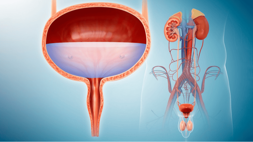 10 Signs That It’s Time to Visit a Urologist